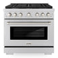 ZLINE Paramount Gas Range Convection Oven 6 Burners 91.4cm SGR36