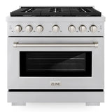 ZLINE Paramount Gas Range Convection Oven 6 Burners 91.4cm SGR36